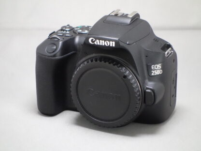 Used Canon EOS 250D Body